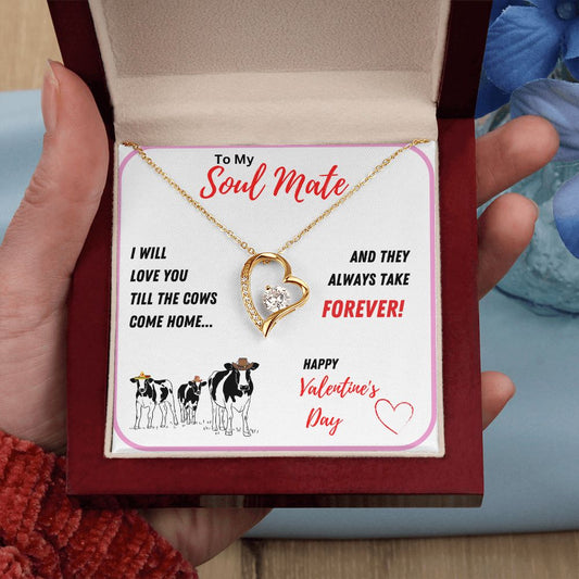 To My Soul Mate - Valentines Day - Forever Love Necklace Gift